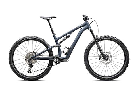 Stumpjumper 15 Alloy